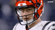Cincinnati Bengals Football GIF by NFL