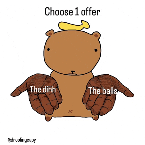Capybara Choose GIF