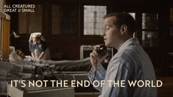 Im Ok Its Alright GIF by All Creatures Great And Small