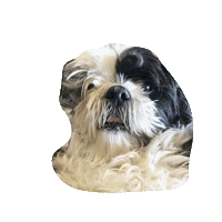 Willett Sticker by NavyStrengthSeattle