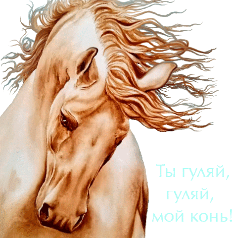 My Horse Sticker