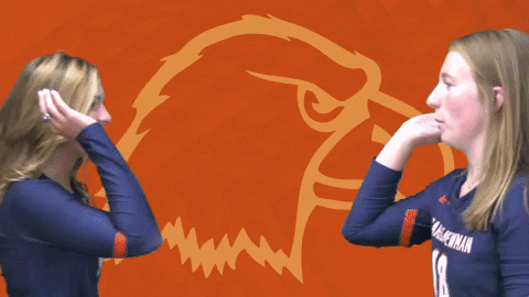 C-N Volleyball GIF by Carson-Newman Athletics