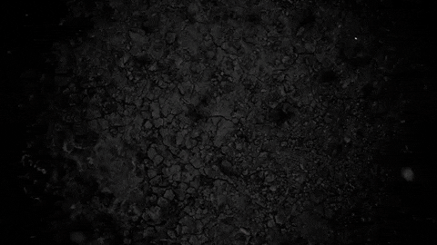 GIF by RedHawk_Recruit