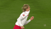 1 Fc Cologne Football GIF by 1. FC Köln
