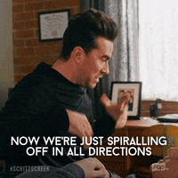 Pop Tv GIF by Schitt's Creek