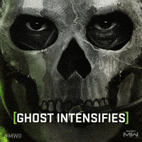 Fps Intensify GIF by Call of Duty