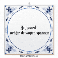 Humor Wijsheid GIF by Tegelspreuken.nl