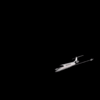 snoozlestudio  GIF
