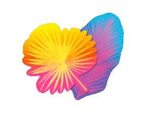 Zomerweek Sticker by Libelle.nl