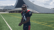 Kicking Montreal Alouettes GIF by Alouettes de Montréal