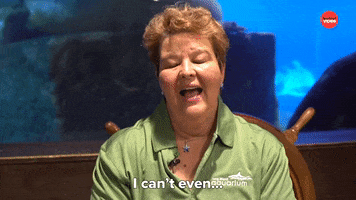 Shark Week Sharks GIF by BuzzFeed