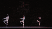Ballet Stage GIF by Royal Opera House