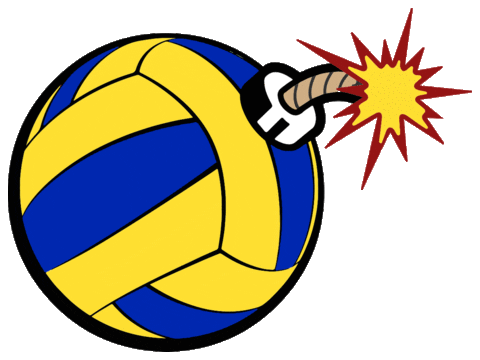 Volleyball Pdv Sticker by Problemi di Volley