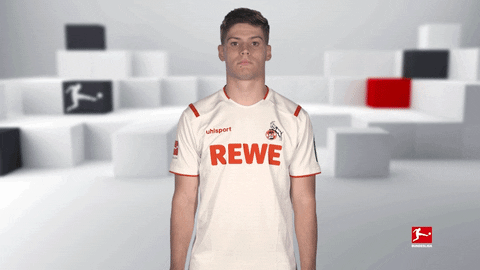 So What Wtf GIF by Bundesliga