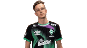 Fifa Ea Sticker by SV Werder Bremen