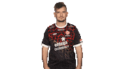 Mainz 05 Butterfly Sticker by Bundesliga