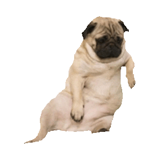 dog STICKER by imoji