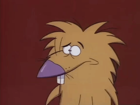 nickrewind giphydvr nicksplat angry beavers giphyab010 GIF