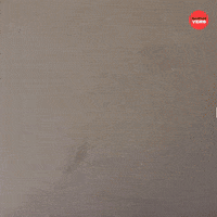 Bacon GIF by BuzzFeed