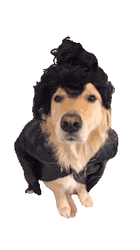 Hey You Puppy Sticker