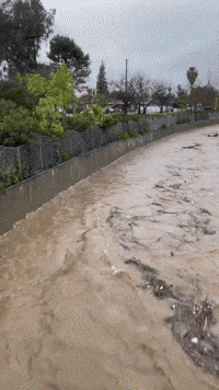 'Looks Like Someone Lost Their Boat': Debris Floats Down Muddy River in Flood-Hit LA