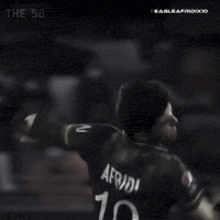 Pakistan Eagle GIF