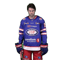 Matchday Magnus Sticker by VIF Hockey