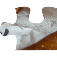 Puzzle Sticker by Eatpickl