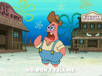 season 5 GIF by SpongeBob SquarePants