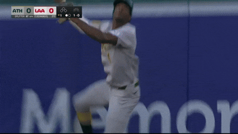 Sport Wow GIF by MLB