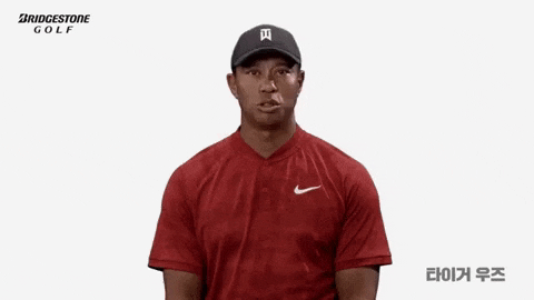 majorworld giphygifmaker GIF