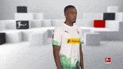 Posing Line Up GIF by Bundesliga