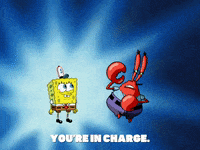 season 6 gullible pants GIF by SpongeBob SquarePants
