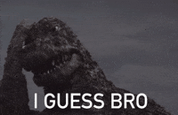 Bro Facepalm GIF