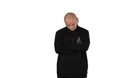 Ppp D3 Sticker by Albion College