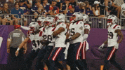 Nfl Football Dance GIF by New England Patriots