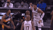 Nba Playoffs Sport GIF by NBA