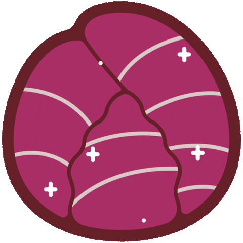 Red Cabbage Food Sticker by FarmBot