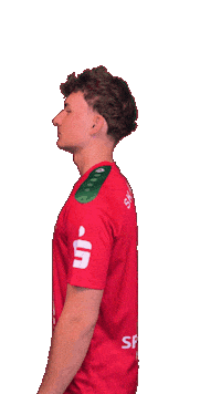 Boysingreen Sticker by SK St. Johann