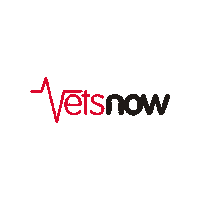 VetsNow vet veterinary vets petparent Sticker