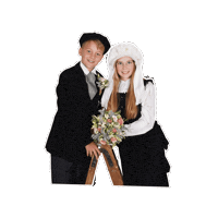 cvdebrookhaze carnaval vastelaovend koningslust brookhaze Sticker