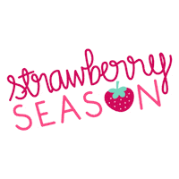 Strawberry Berries Sticker