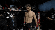 Stipe Miocic Sport GIF by UFC