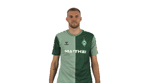 Werder Bremen Sticker by Bundesliga