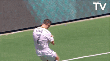 happy soccer GIF by LA Galaxy