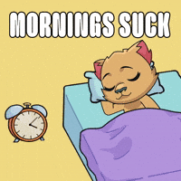 Kabu Friends GIF by Kabu