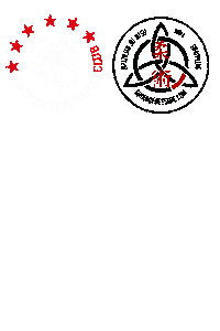 Mixed Martial Arts Mma Sticker by Andrea