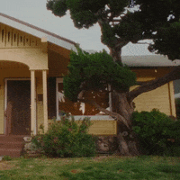 Casual GIF by Chappell Roan