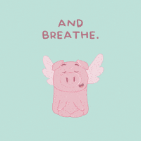 Flying Pig Relax GIF by PositivelyPigasus