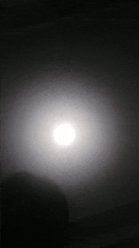 turava  GIF
